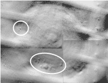 Porosity defects in aircraft test object